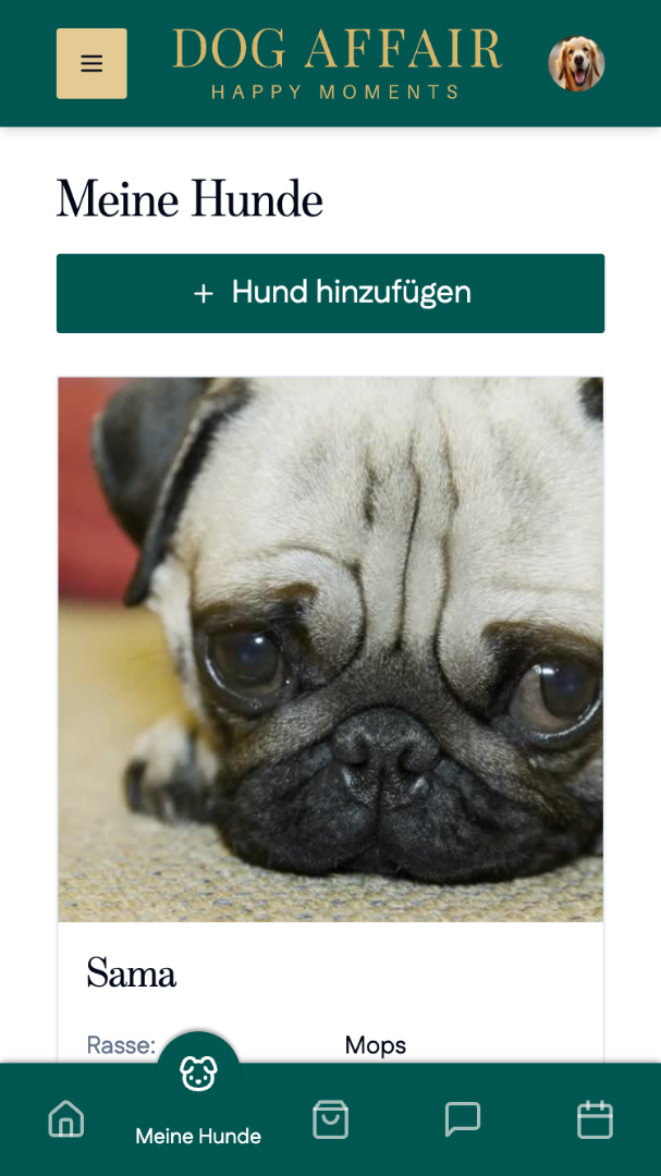Dog-Affair-All-in-one-Service-für-Hunde-03-12-2026_10_53_PM